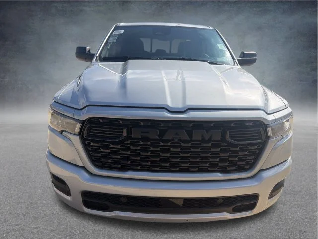 New 2027 Silver Zynith Exterior Paint RAM Express image 2