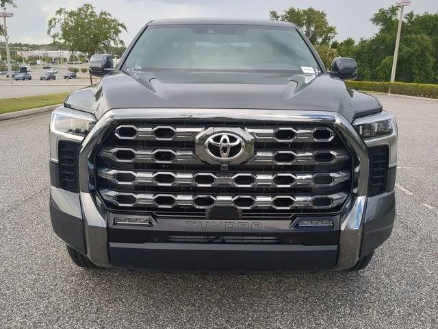 New 2026 Magnetic Gray Metallic Toyota Platinum image 9