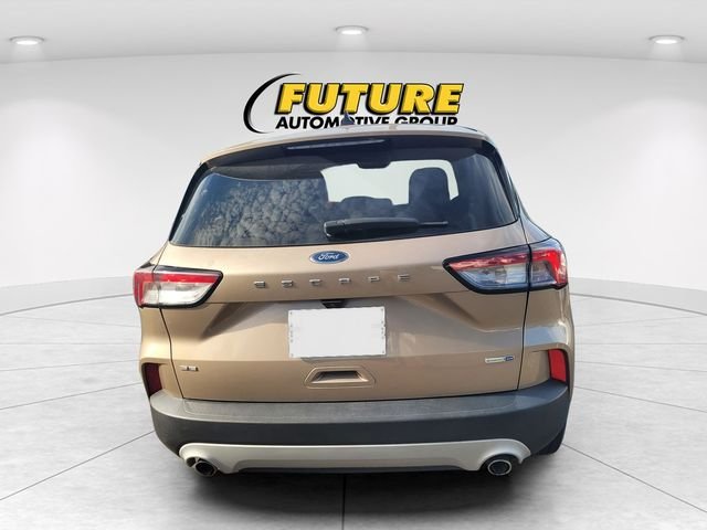 Used 2020 Gold Ford SE image 4