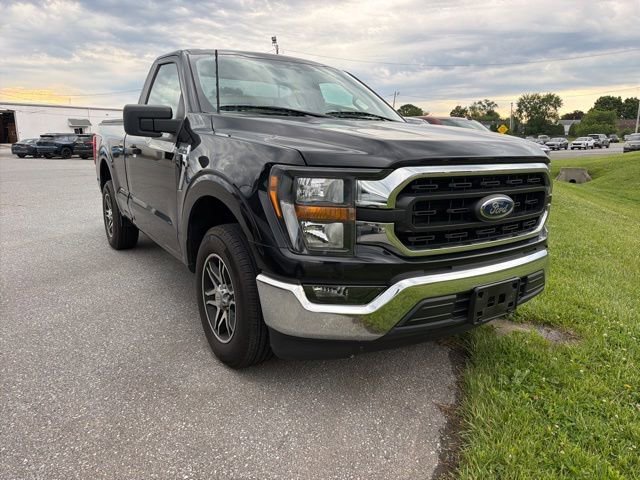 2023 Ford F-150 XL Regular Cab 8 Box's photo