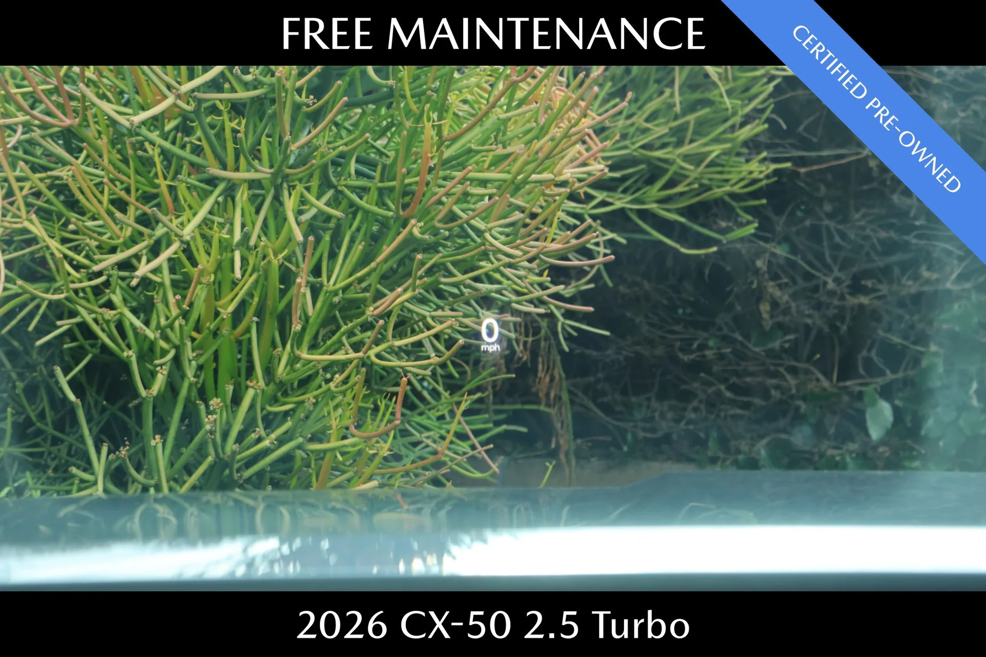 Certified Used 2026 Gray Mazda 2.5 Turbo image 13
