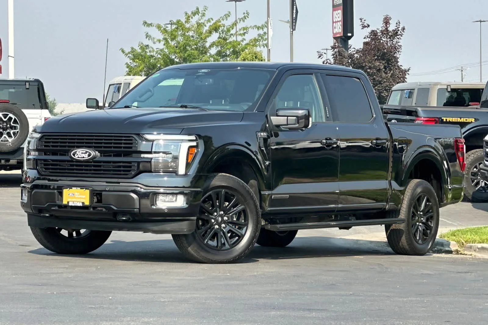 2024 Ford F-150 Platinum