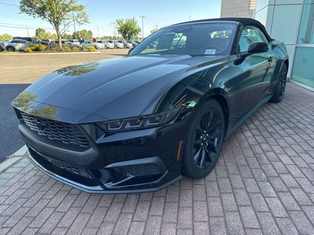New 2025 Shadow Black Ford EcoBoost® Premium Convertible image 6