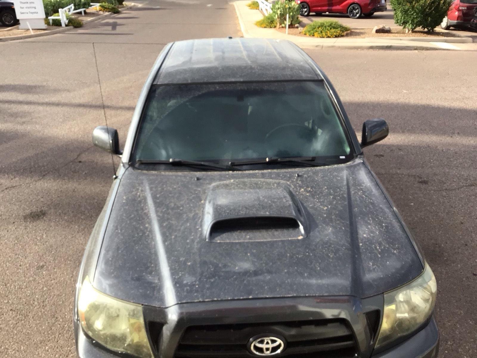 Used 2009 Magnetic Gray Metallic Toyota PreRunner image 16