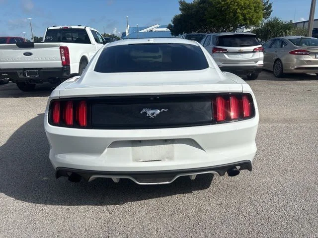 Used 2017 White Ford EcoBoost Premium image 6