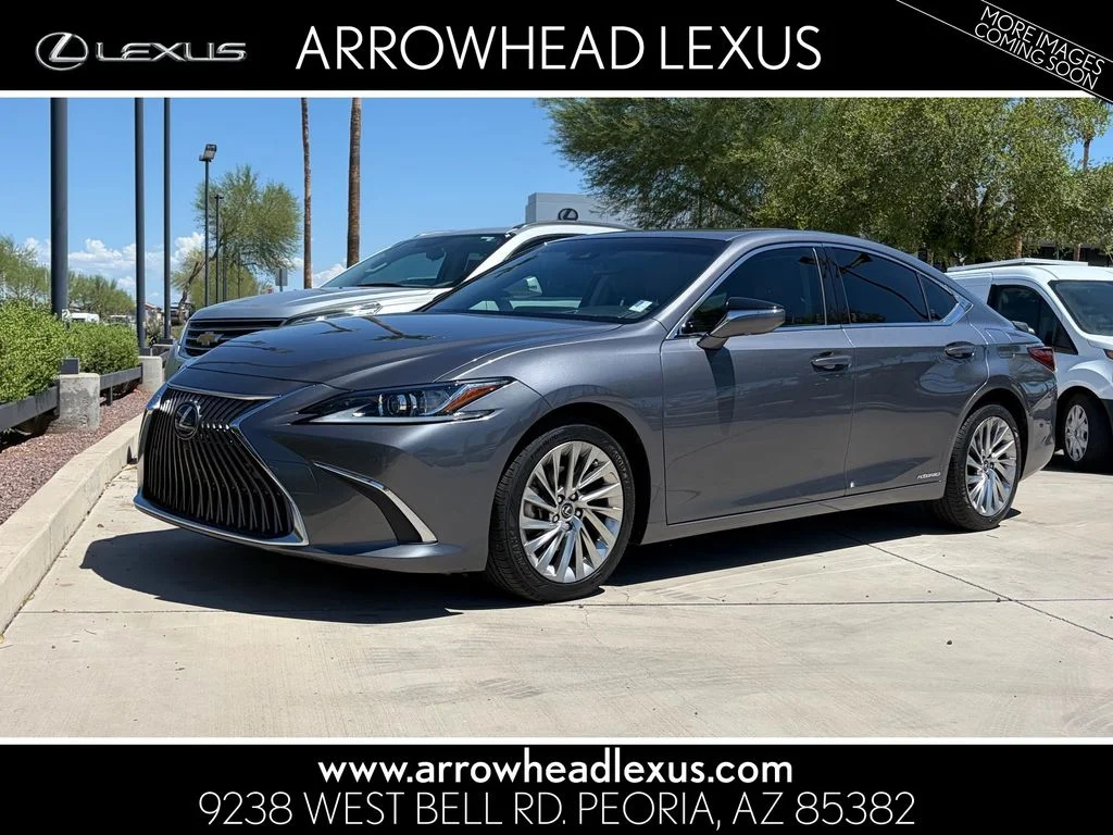Used 2019 Gray Lexus 300h Luxury image 1