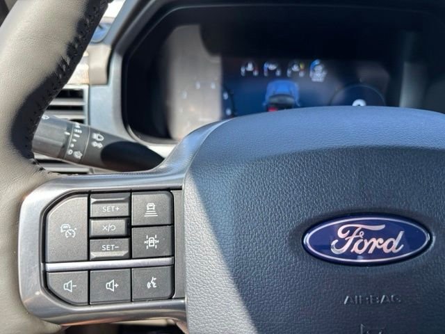 New 2026 Carbonized Gray Metallic Ford Platinum® image 24
