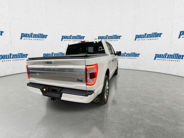 Used 2023 White Ford Limited image 10