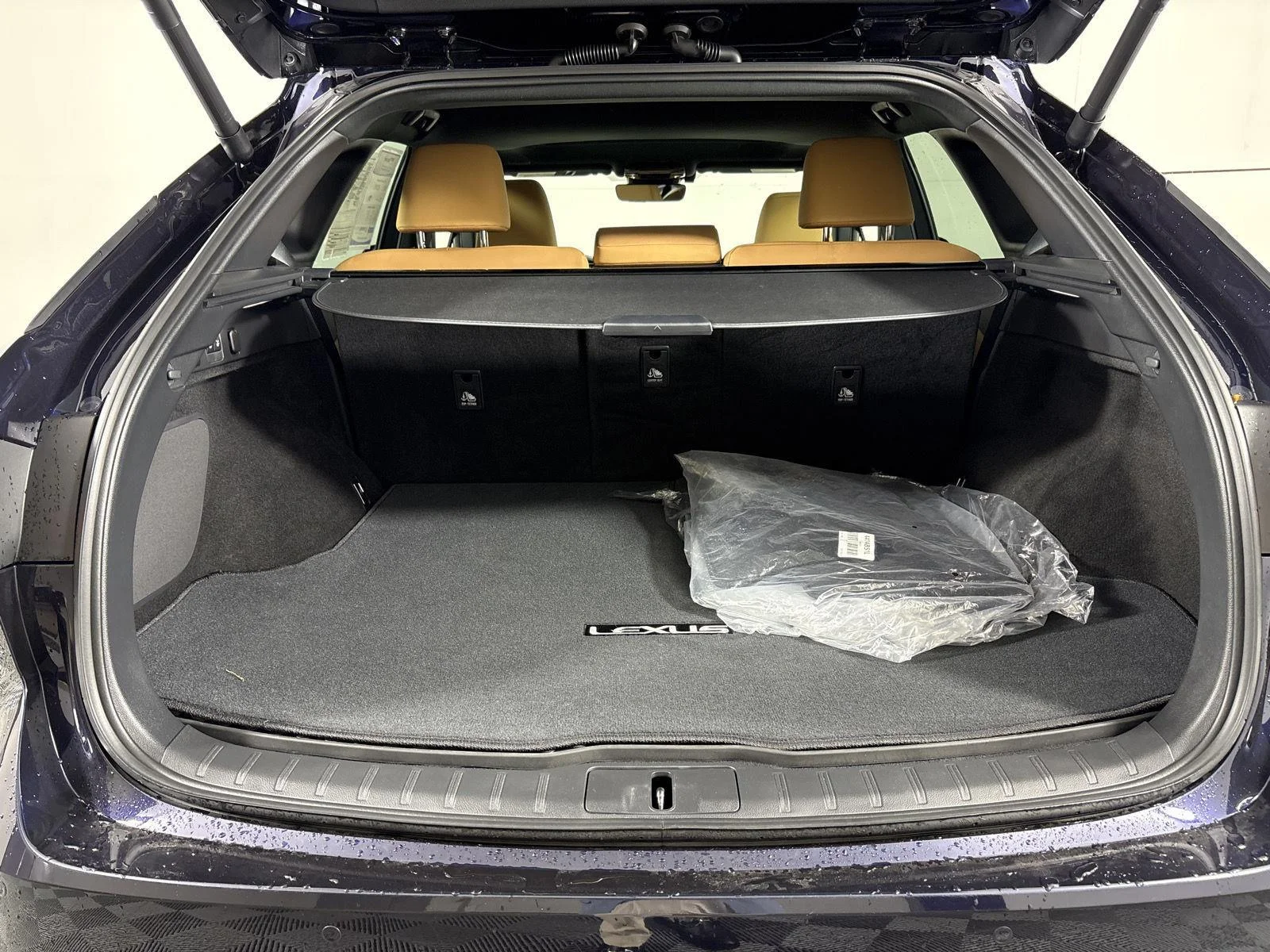 Used 2025 Nightfall Mica Lexus Premium image 18