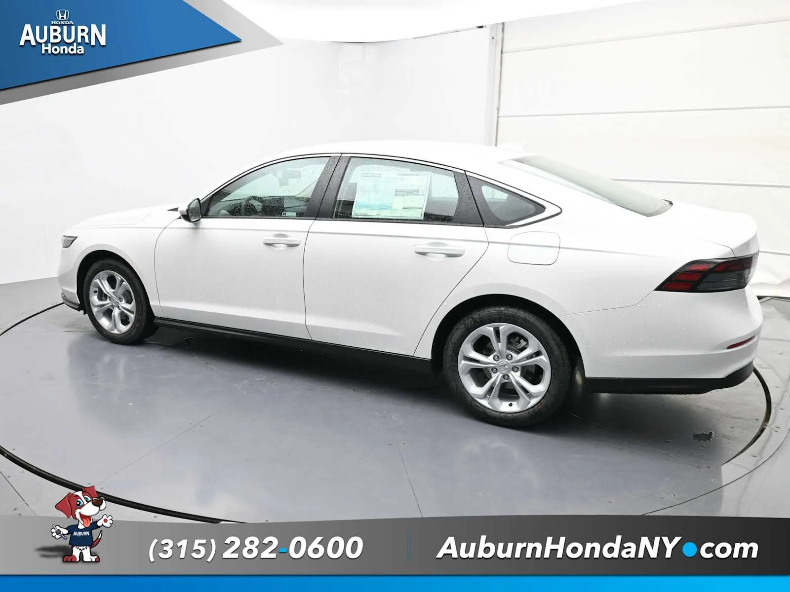 New 2025 Platinum White Pearl Honda LX image 15