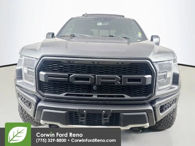 Used 2019 Magnetic Ford Raptor image 2