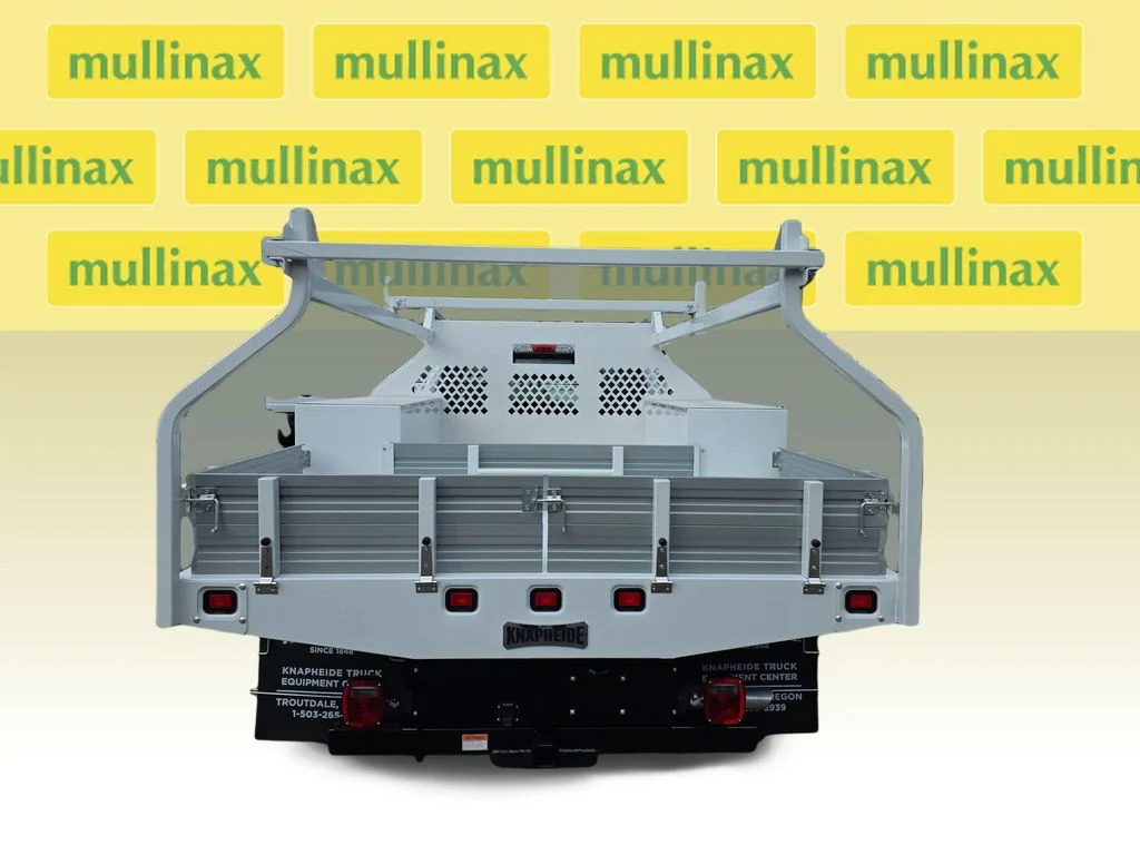 New 2025 White Ford XL image 5
