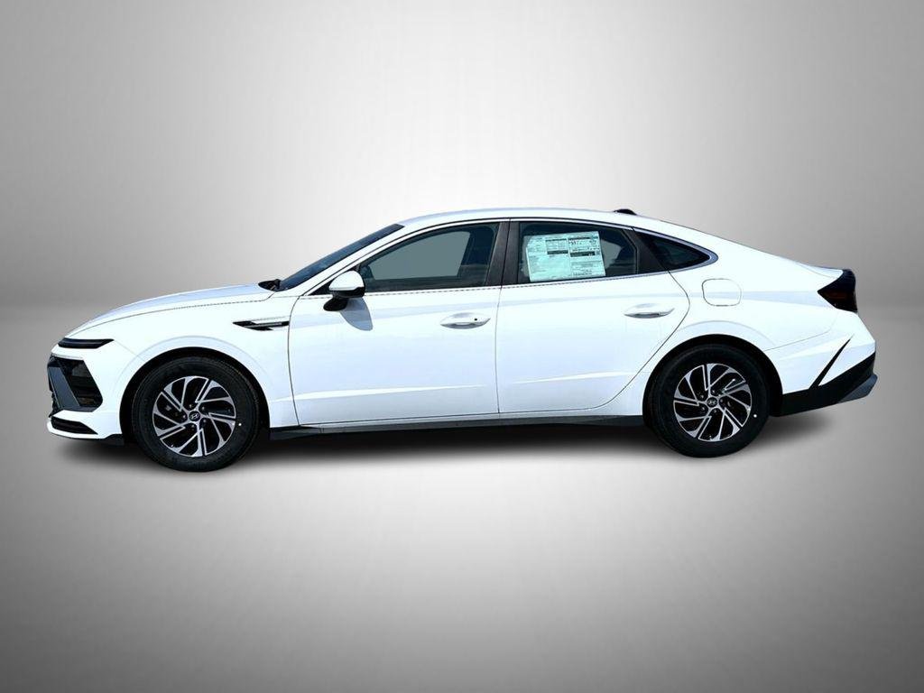New 2026 Serenity White Hyundai Blue image 8