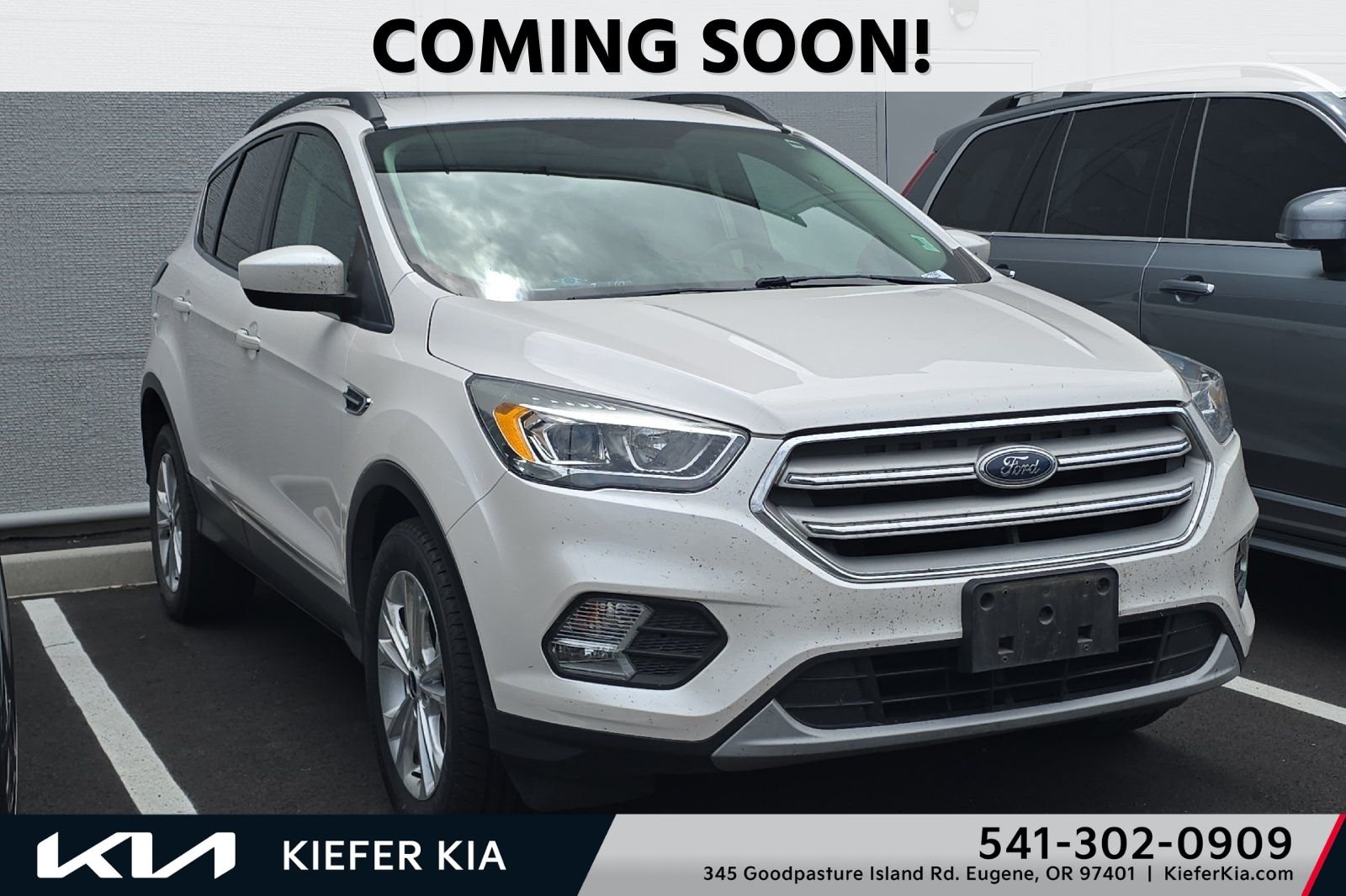 2019 Ford Escape SEL 4WD's photo