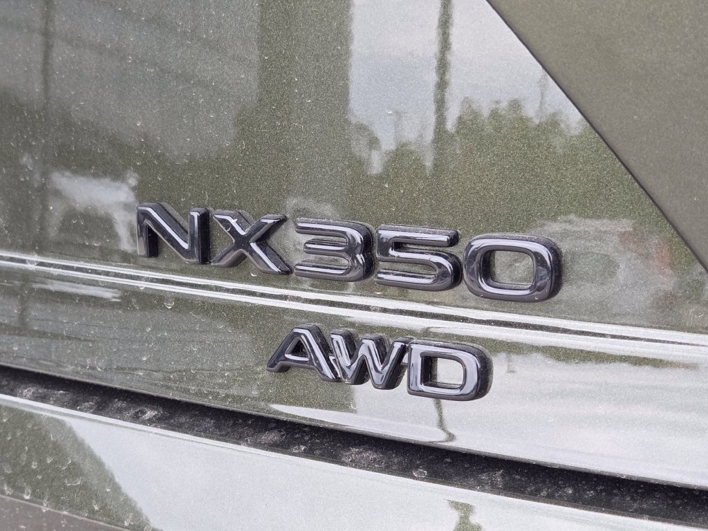 New 2026 Nori Green Pearl Lexus PREMIUM image 27