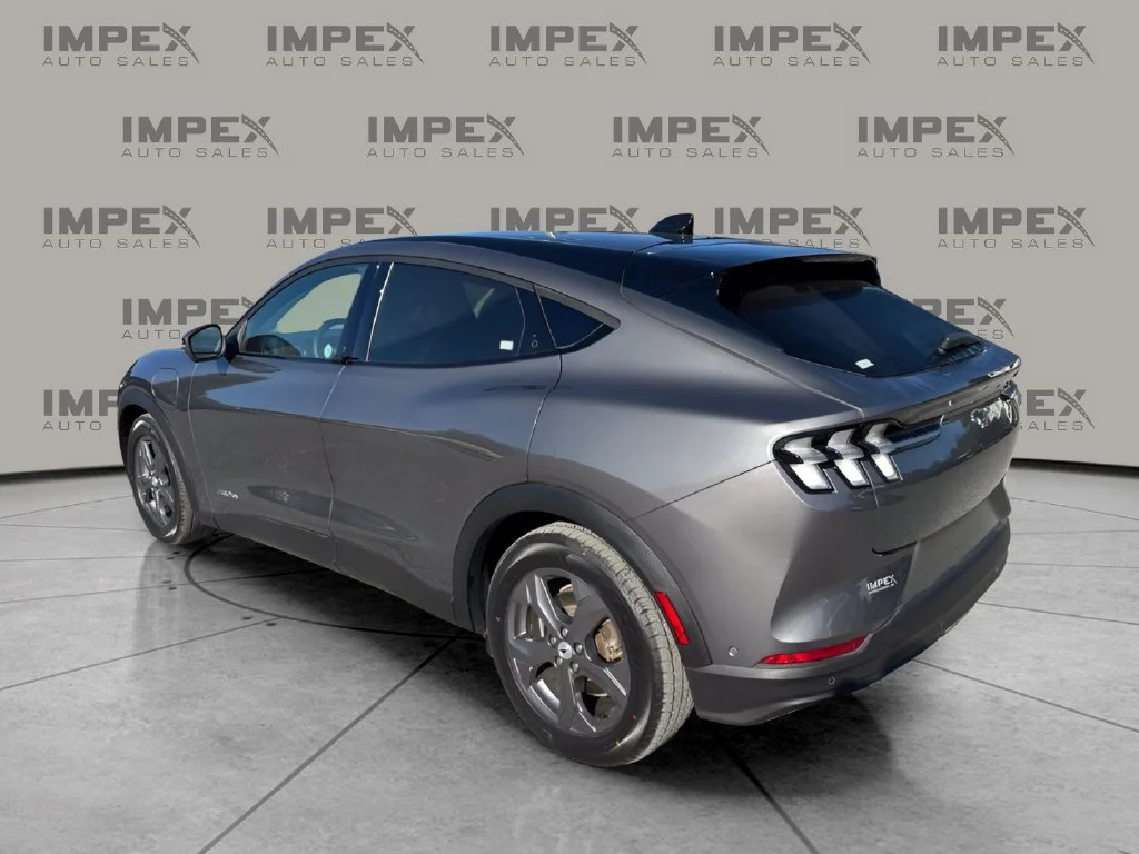 Used 2023 Gray Ford Select image 3