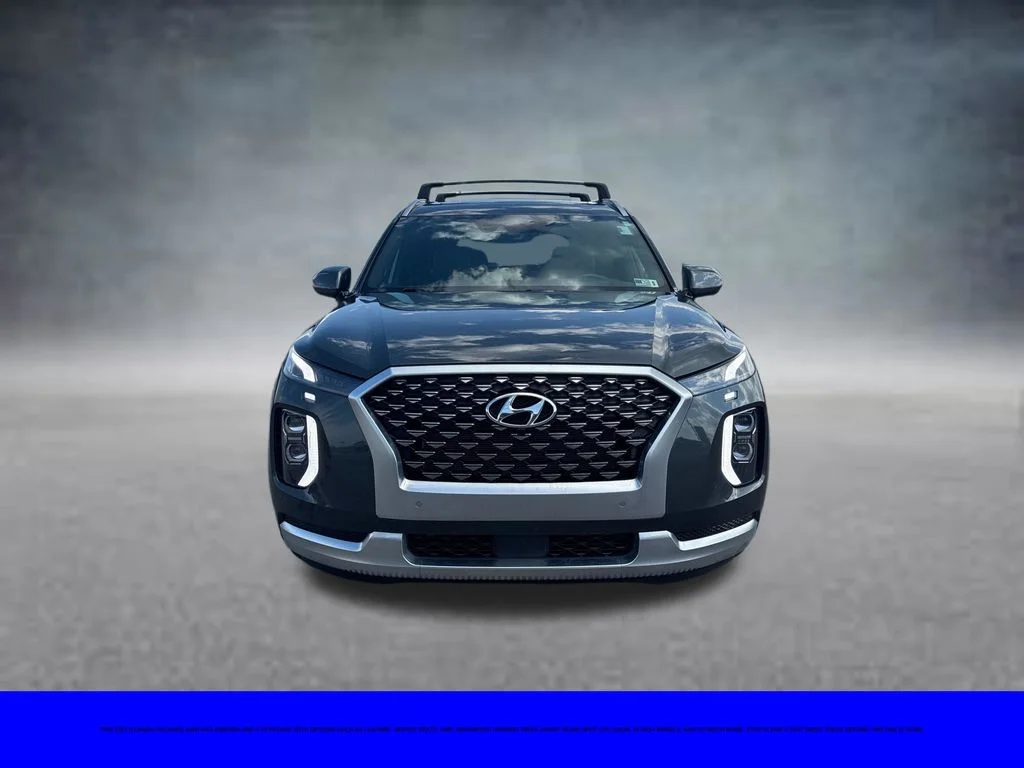 Used 2022 Rainforest Hyundai Calligraphy image 3