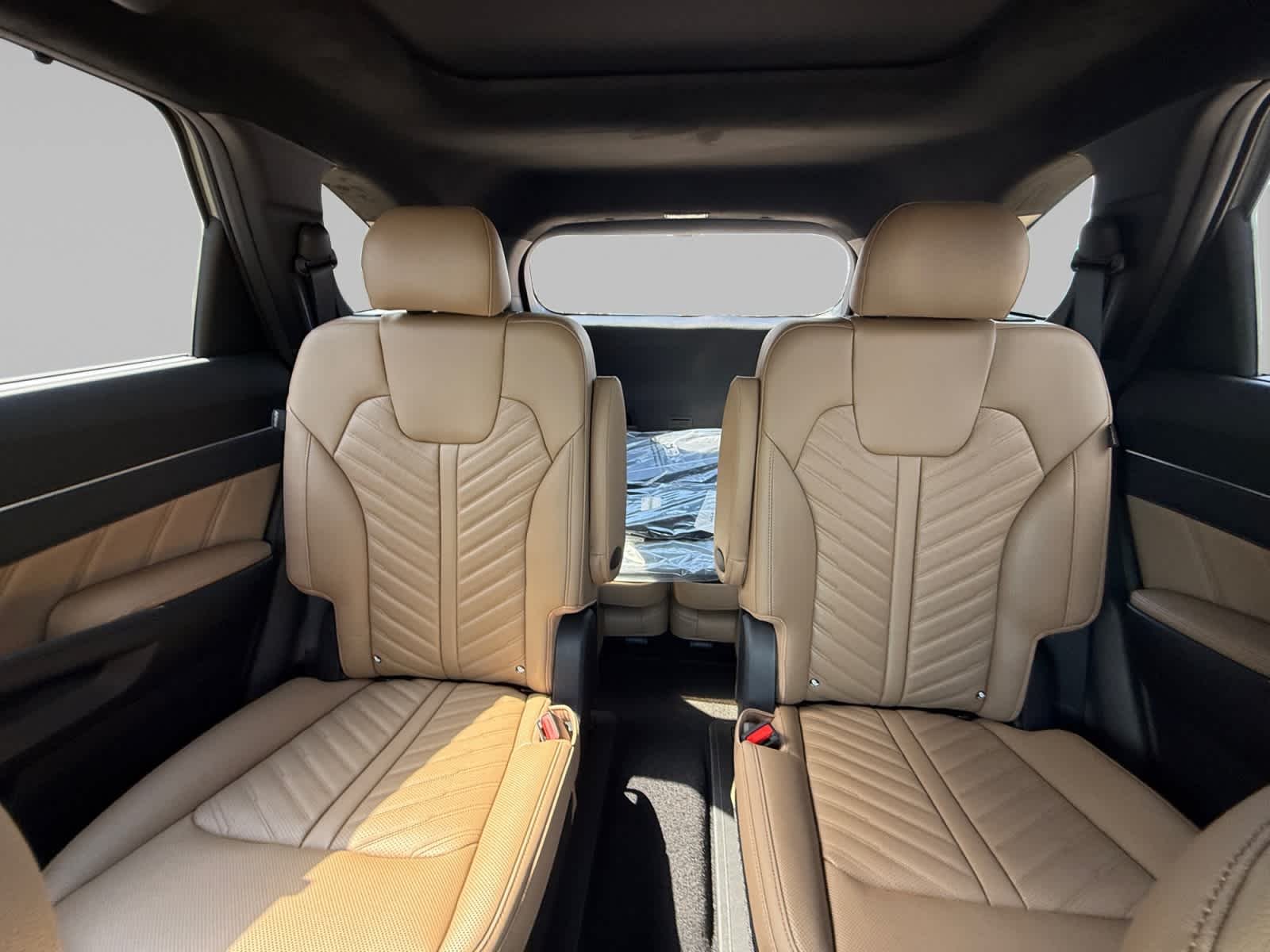 New 2026 Jungle Green Kia X-Line SX Prestige image 22