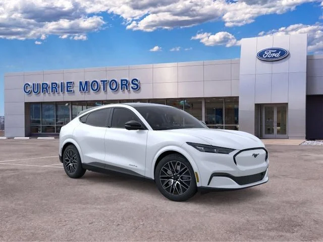 New 2026 Star White Metallic Tri-coat Ford Premium image 7