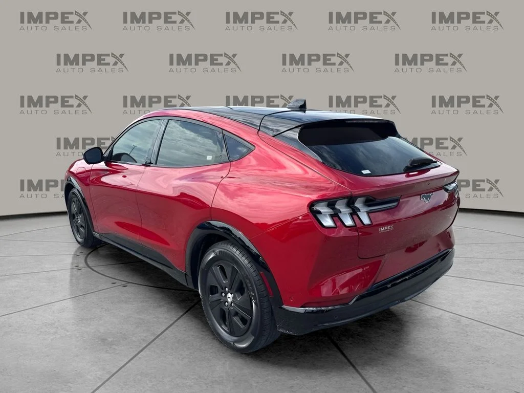 Used 2023 Red Ford California Route 1 image 2