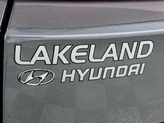 New 2027 Gray Hyundai Calligraphy image 25