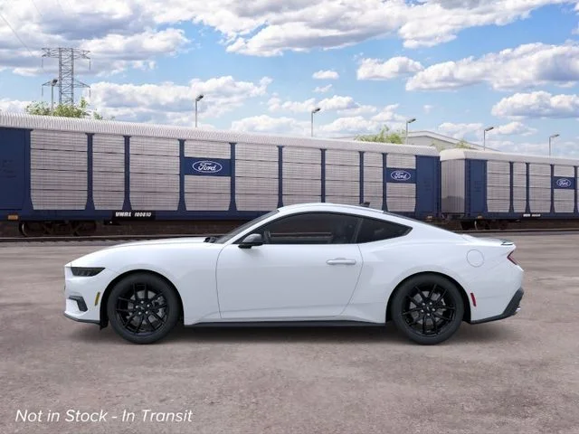 New 2026 White Ford EcoBoost image 3