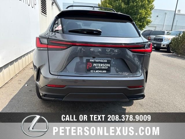 New 2026 Cloudburst Gray Lexus NX 350h PREMIUM AWD image 5