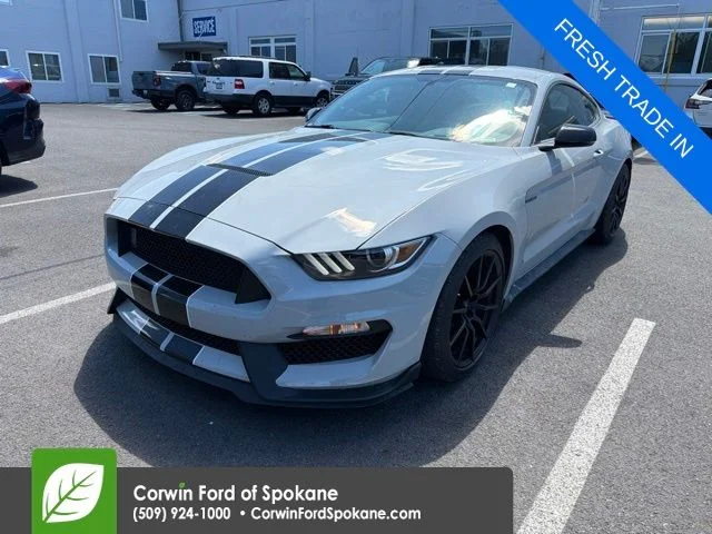 2017 Ford Mustang Shelby GT350's photo