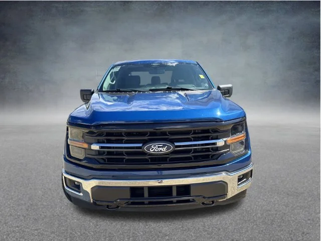 Used 2024 Blue Ford XLT image 5