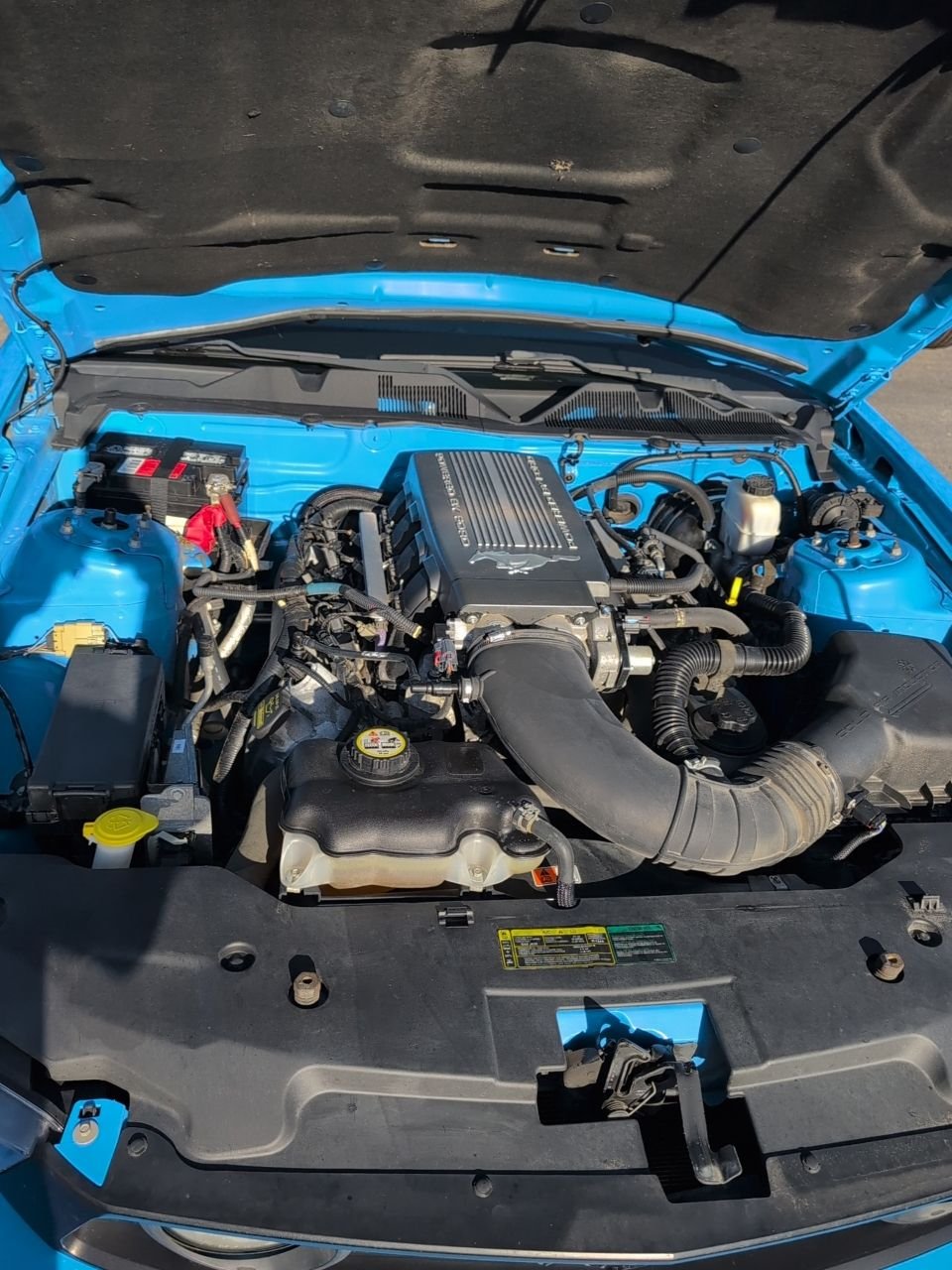 Used 2010  Ford GT Premium image 9
