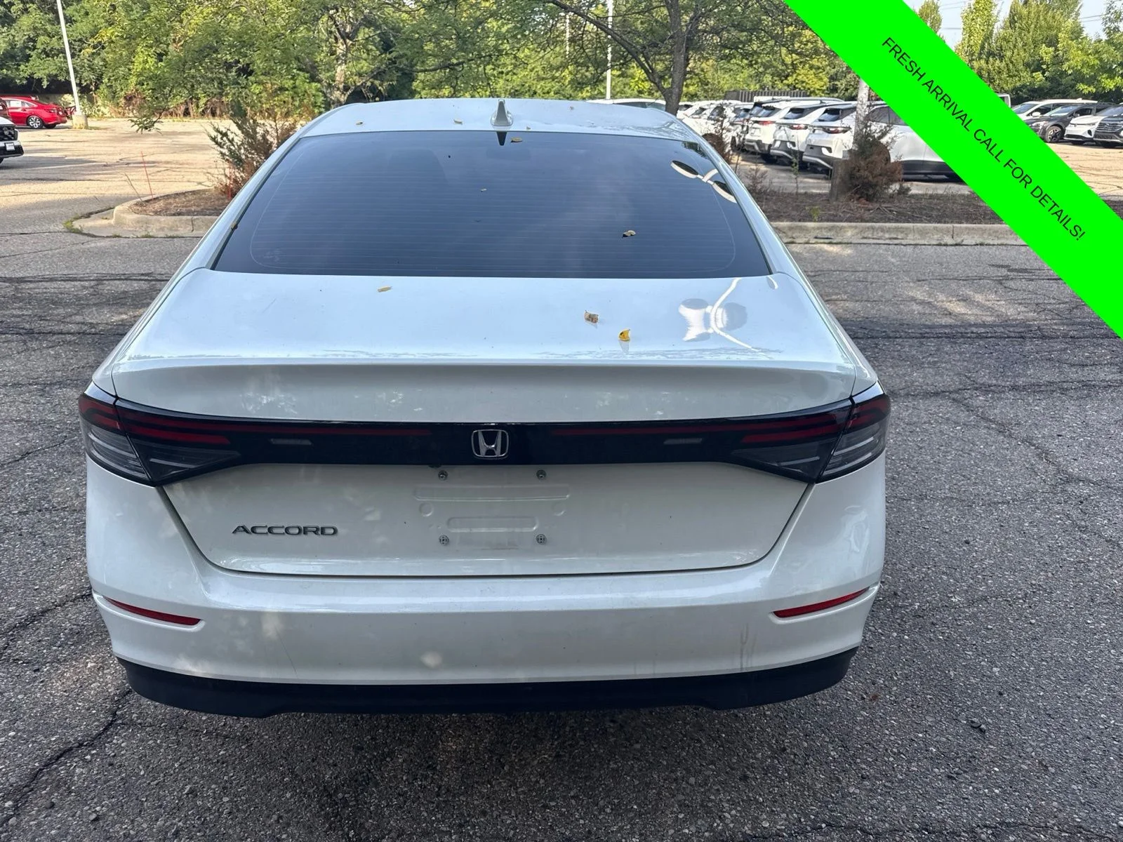 Used 2024 Platinum White Pearl Honda LX image 9