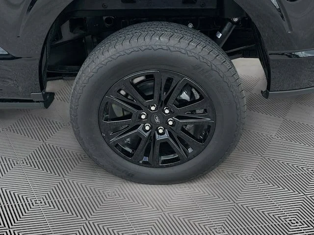 New 2026 Black Metallic Ford Platinum image 20