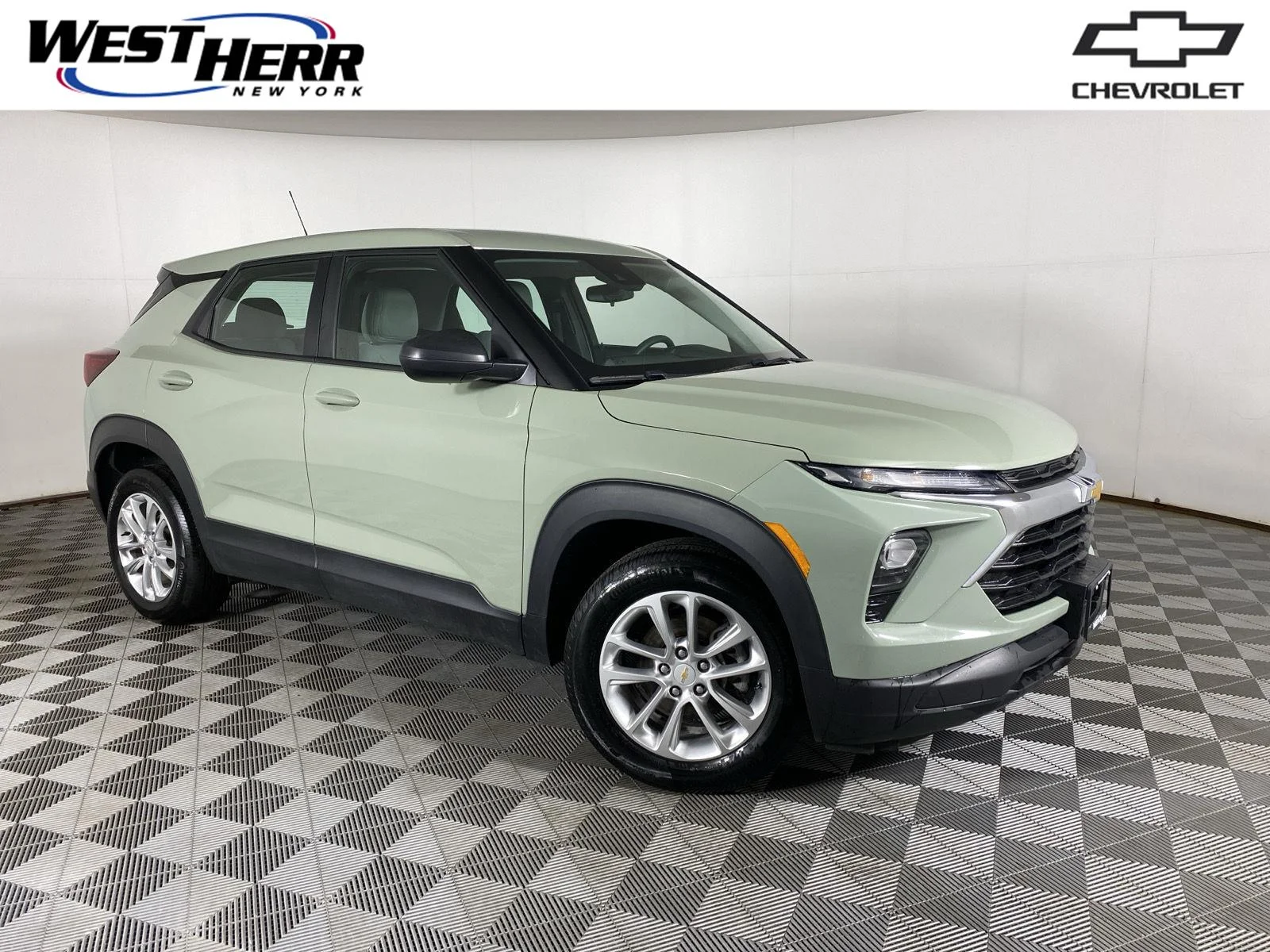 Used 2025 Cacti Green Chevrolet LS image 1