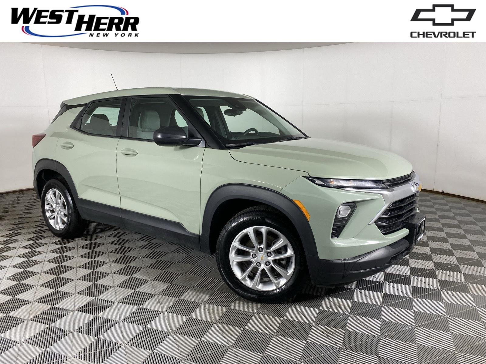 Used 2025 Cacti Green Chevrolet LS image 1