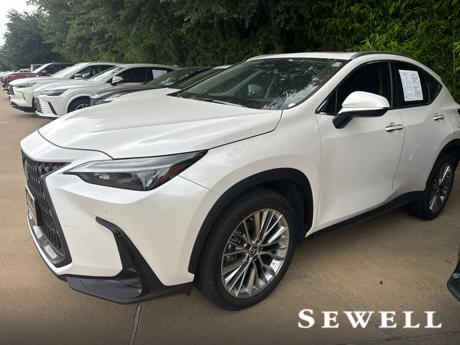 2025 Lexus NX 350's photo