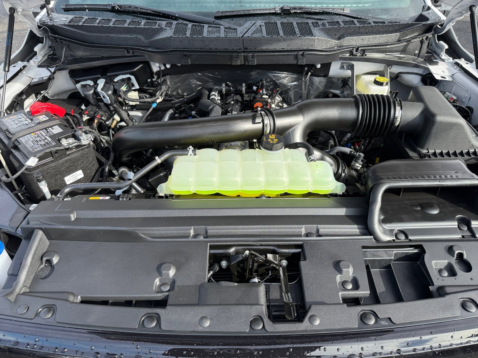 New 2026 Oxford White Ford XLT image 20