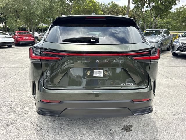 2025 Lexus NX 250 - Photo 24