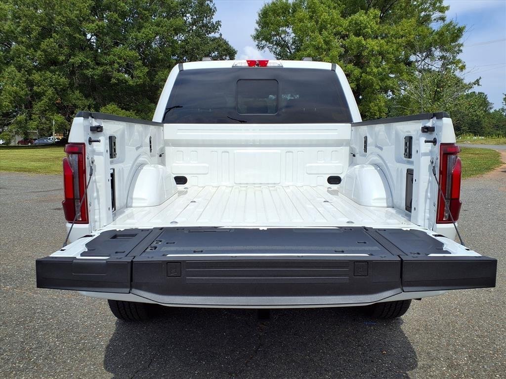 New 2025 Star White Metallic Tri-Coat Ford Platinum image 24