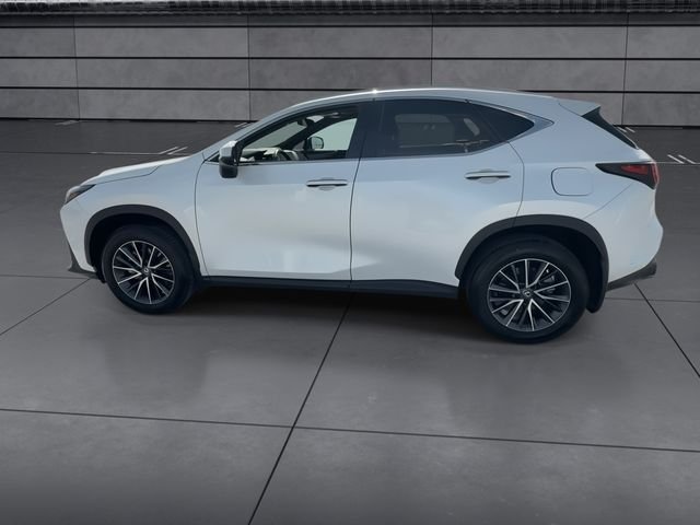 Certified Used 2025 White Lexus 250 Premium image 5