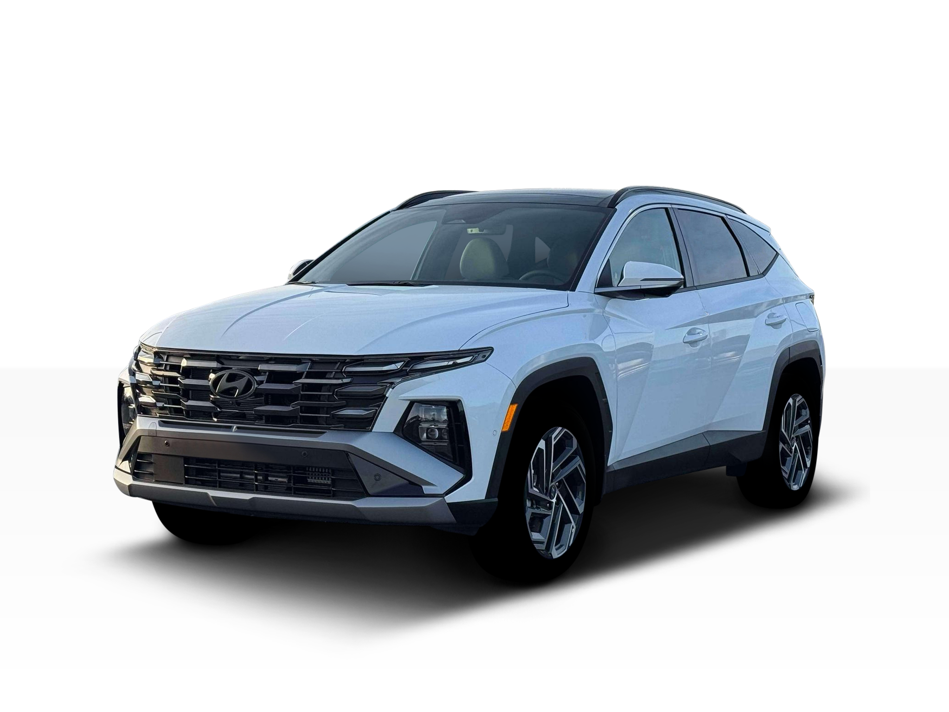 New 2026 Creamy White Pearl Hyundai Limited image 20