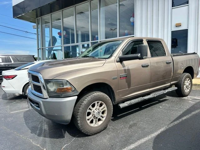 Used 2010 Tan Ram ST image 16