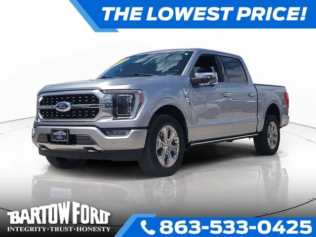 Used 2023 Silver Ford Platinum image 1