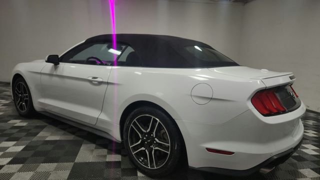 Used 2023 White Ford EcoBoost Premium image 6