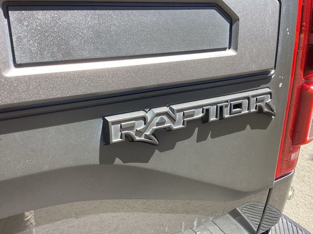 Used 2019 Gray Ford Raptor image 22