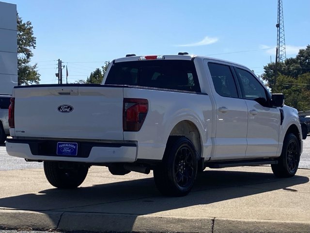 Used 2024 White Ford XLT image 3