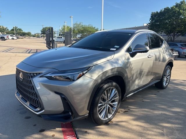 2025 Lexus NX 350 350 Premium AWD's photo