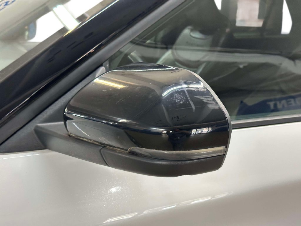 Used 2020 White Ford Platinum image 13