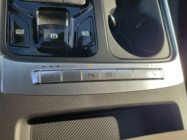 New 2026 Panthera Metal Kia EX image 21