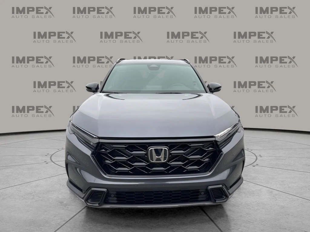 Used 2024 Blue Honda Sport-L image 8