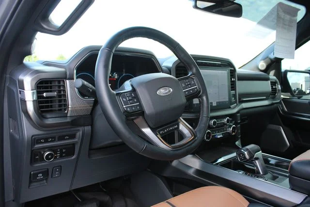 Used 2023 Silver Ford Platinum image 2